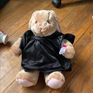 Build a Bear bunny with graduation outfit